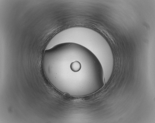 X0000115830505200912111315