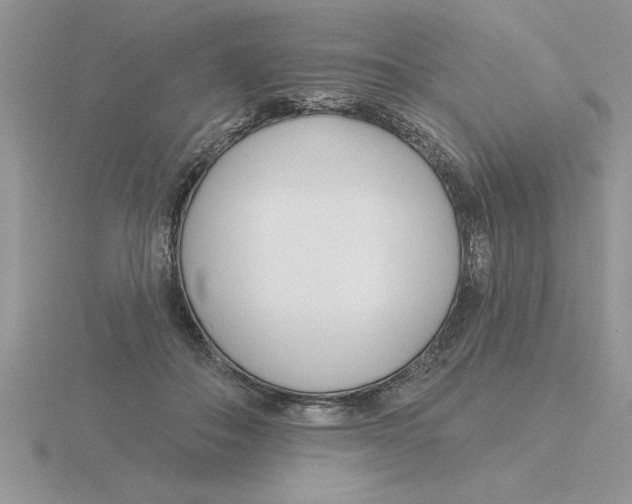 X0000115830506200912111315