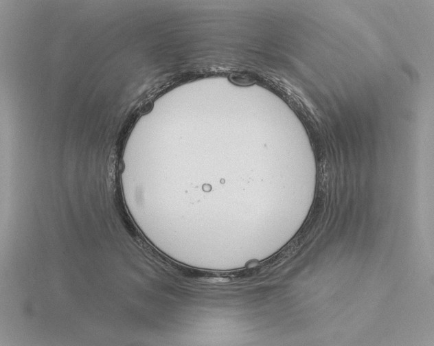 X0000115830509200912111315