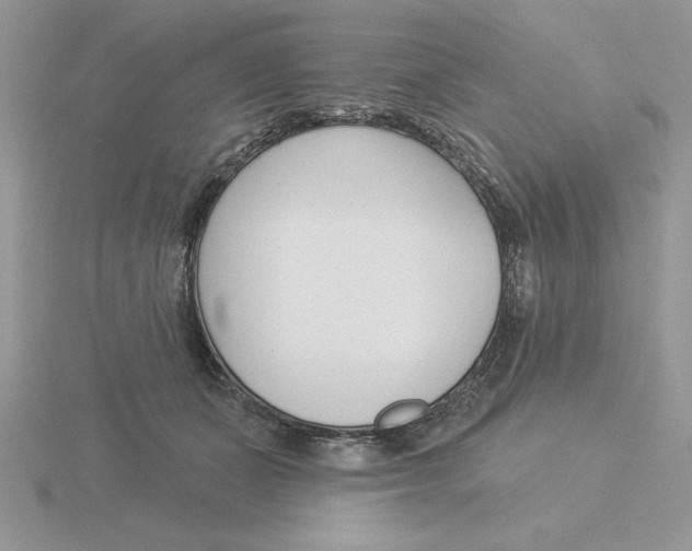 X0000115830511200912111315