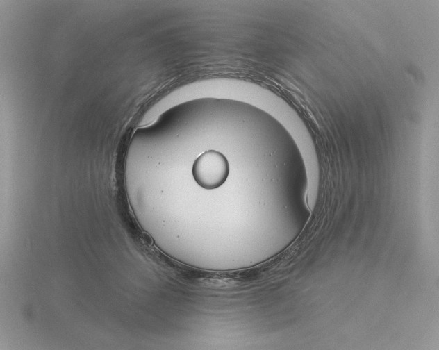 X0000115830512200912111315