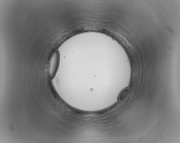 X0000115830513200912111315