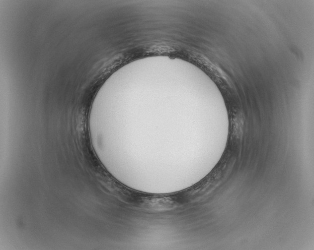 X0000115830517200912111315