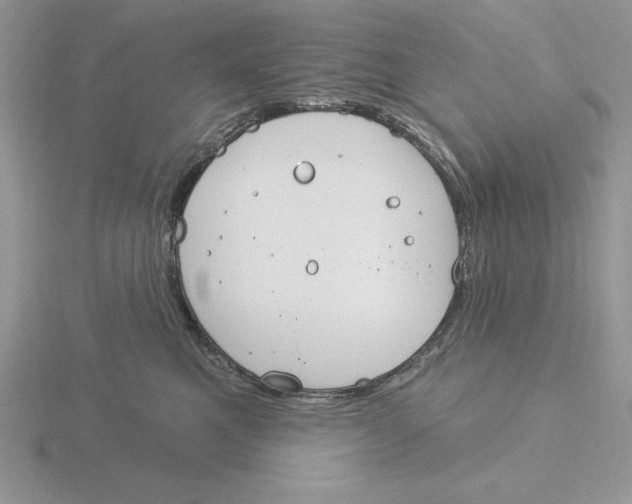 X0000115830521200912111315