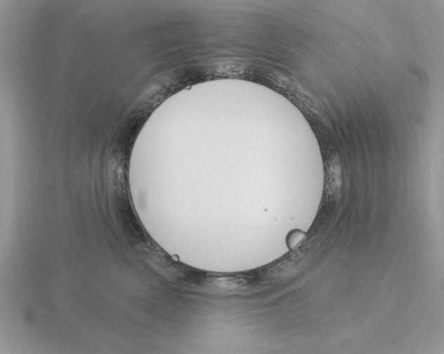 X0000115830522200912111315