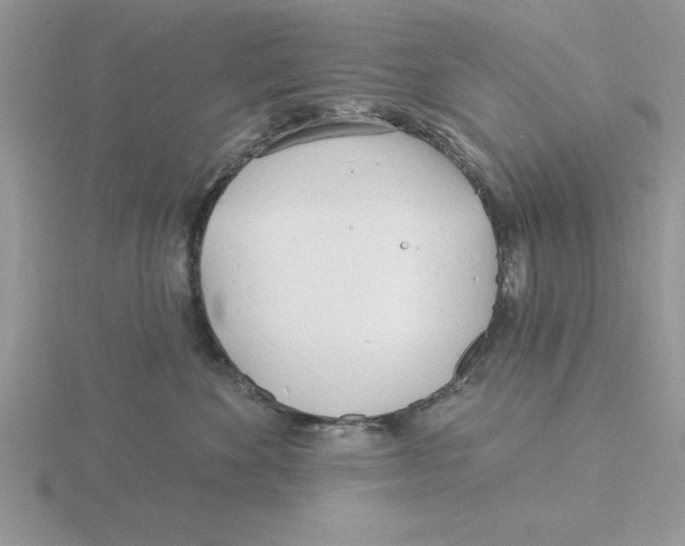 X0000115830524200912111315