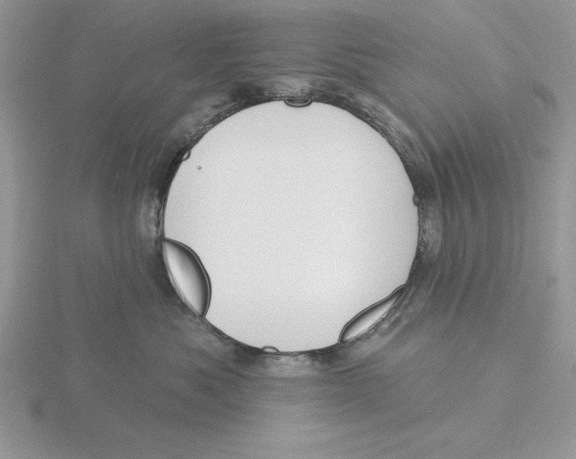 X0000115830525200912111315