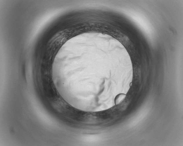 X0000115830526200912111315