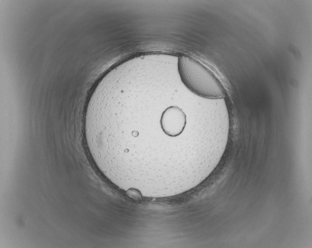 X0000115830529200912111314