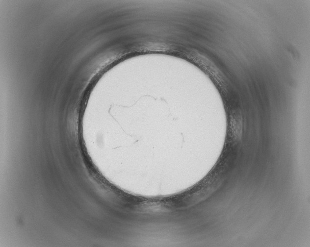 X0000115830534200912111314