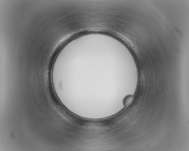 X0000115830535200912111314