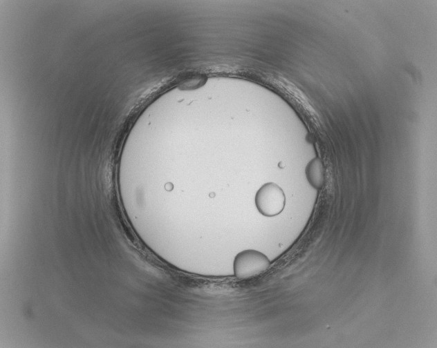 X0000115830537200912111314