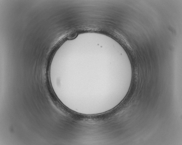 X0000115830538200912111314