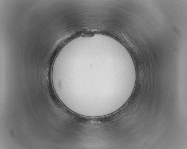 X0000115830543200912111314