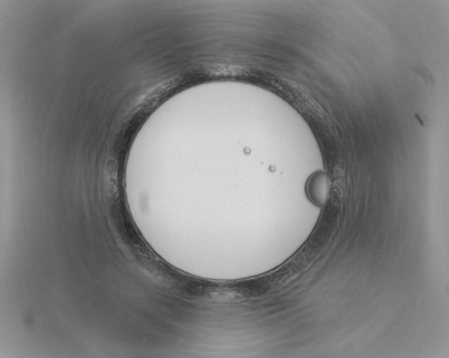 X0000115830547200912111314