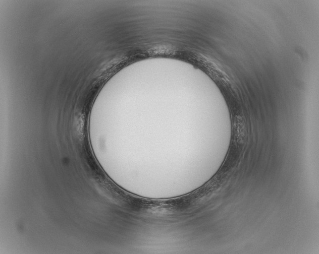 X0000115830550200912111314