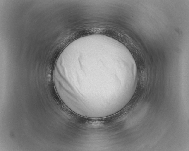 X0000115830553200912111314