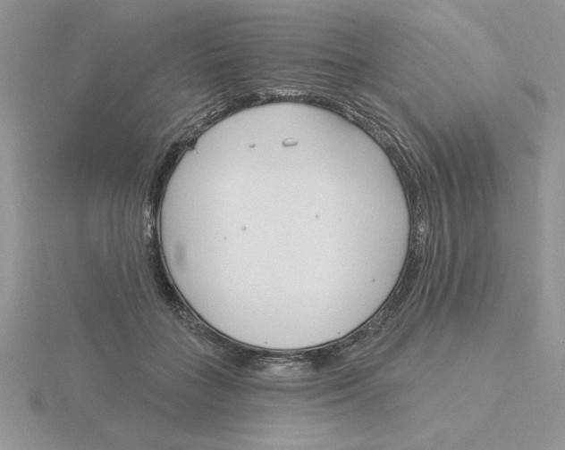 X0000115830555200912111314