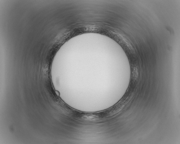 X0000115830557200912111314