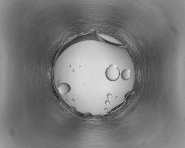 X0000115830561200912111315