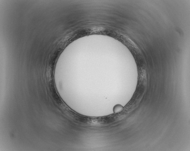 X0000115830565200912111315