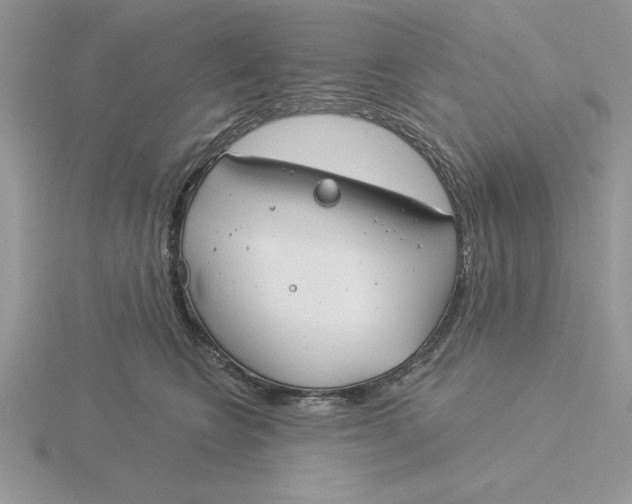 X0000115830566200912111315