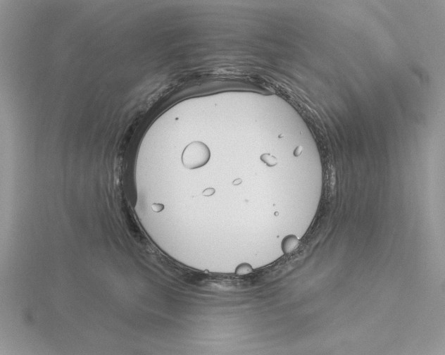 X0000115830567200912111315