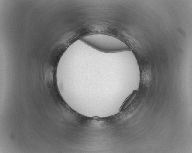 X0000115830570200912111315