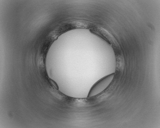 X0000115830573200912111315