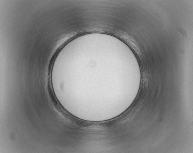 X0000115830578200912111314