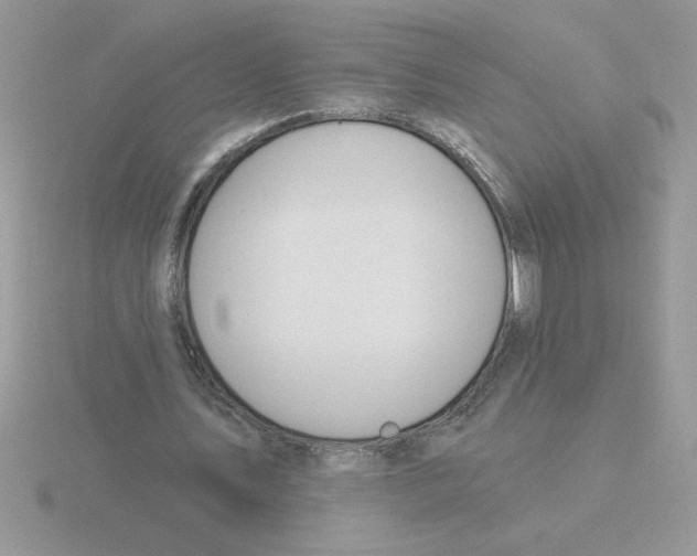 X0000115830579200912111314