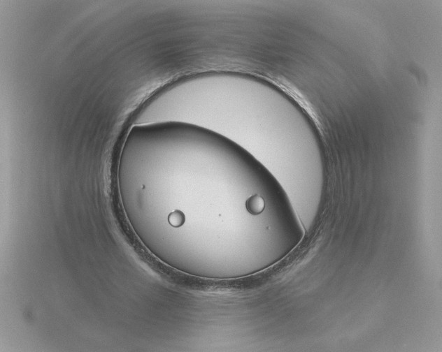 X0000115830581200912111314