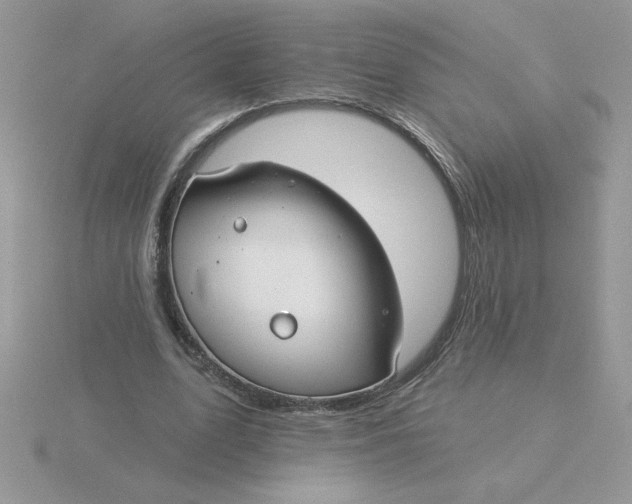 X0000115830583200912111314