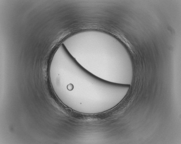 X0000115830585200912111314