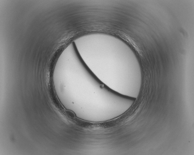 X0000115830589200912111314