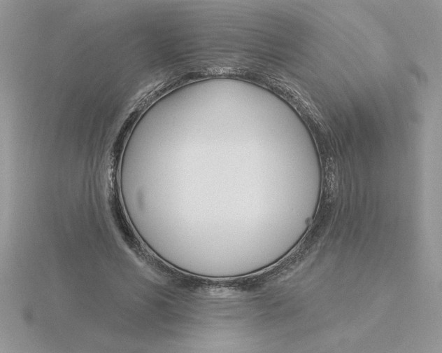 X0000115830590200912111314