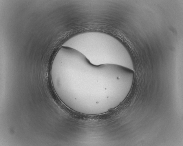 X0000115830593200912111314