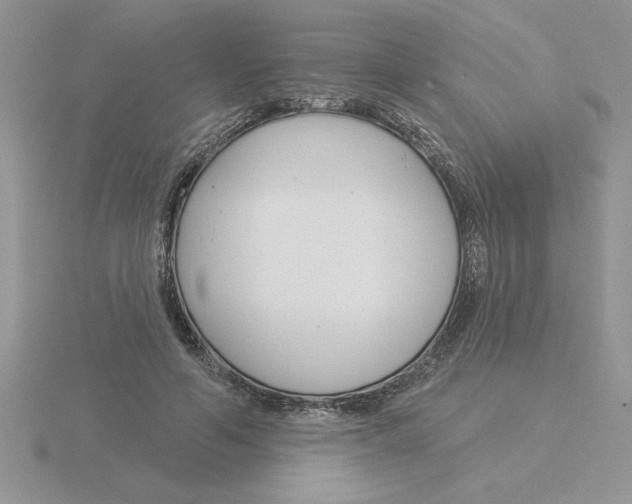 X0000115830594200912111314