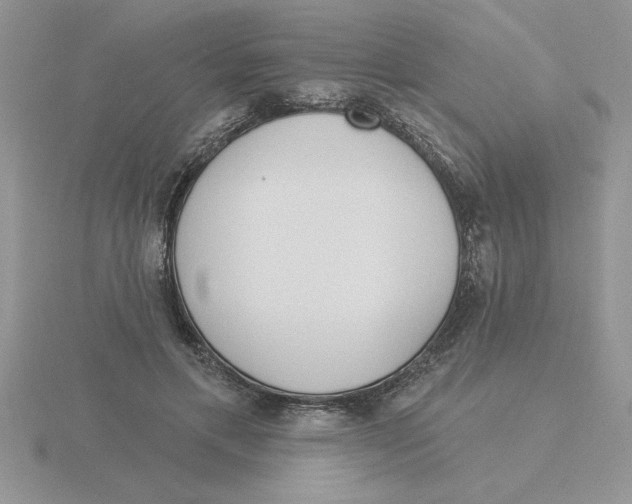 X0000115830597200912111314