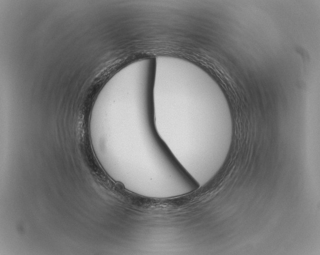 X0000115830599200912111314