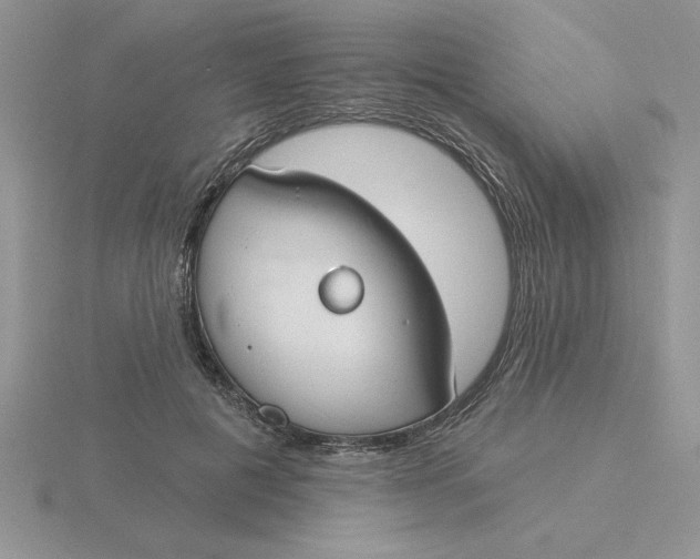 X0000115830601200912111314