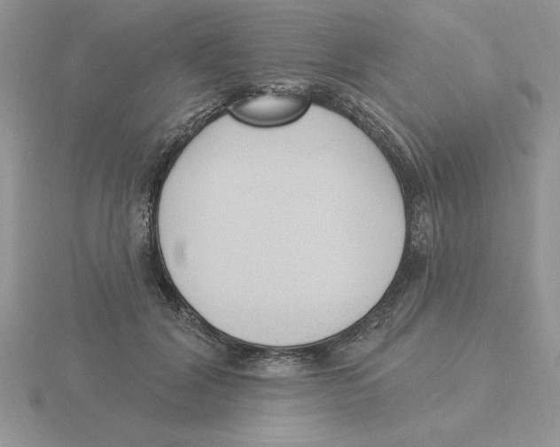 X0000115830604200912111314