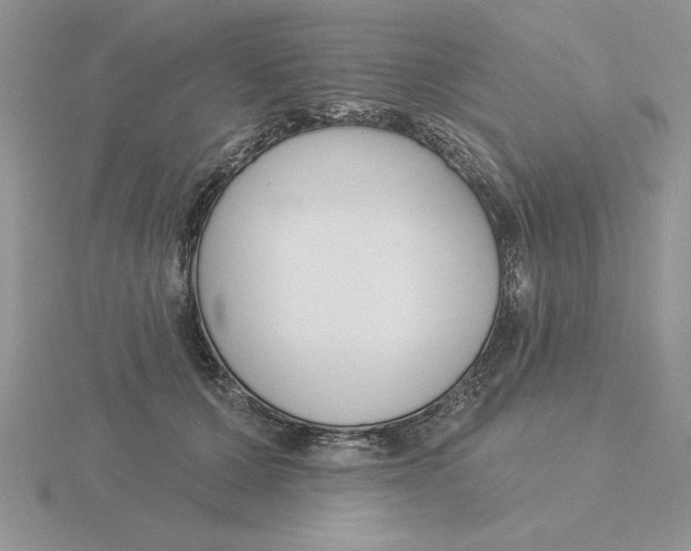 X0000115830607200912111314