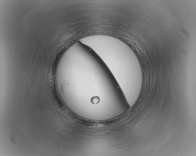 X0000115830609200912111314