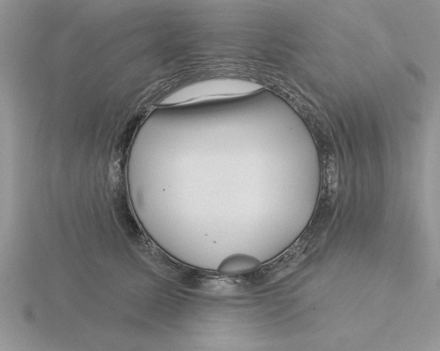 X0000115830611200912111314