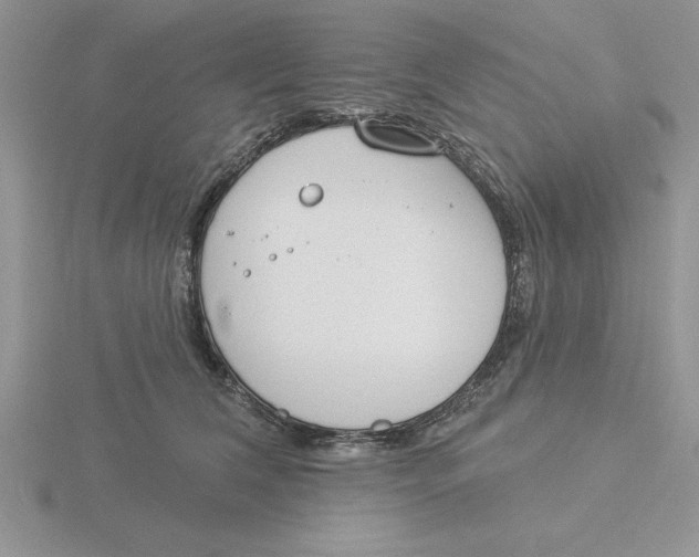 X0000115830612200912111314