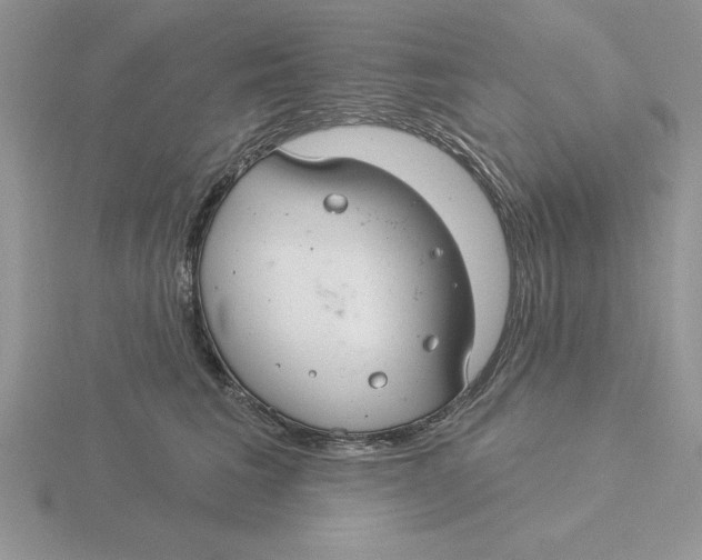 X0000115830613200912111314