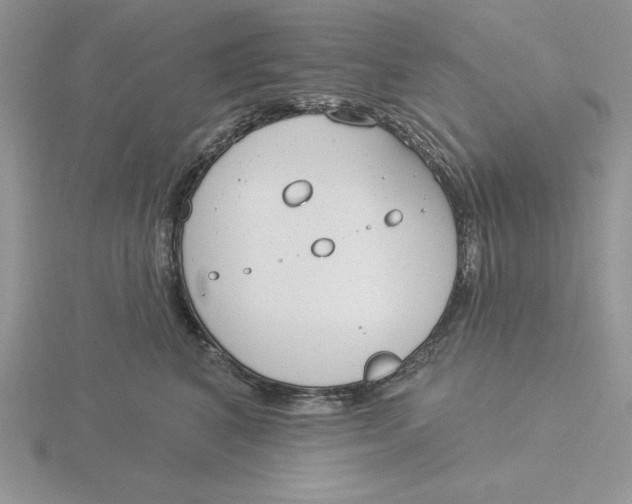 X0000115830616200912111314