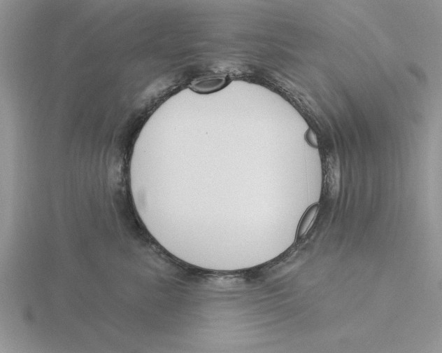 X0000115830619200912111314