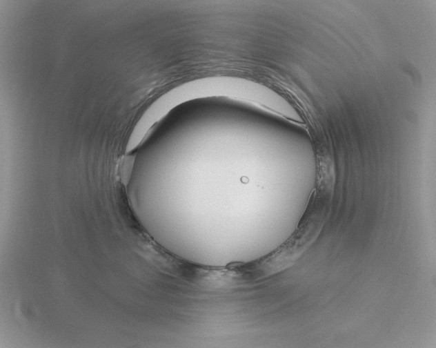 X0000115830621200912111314